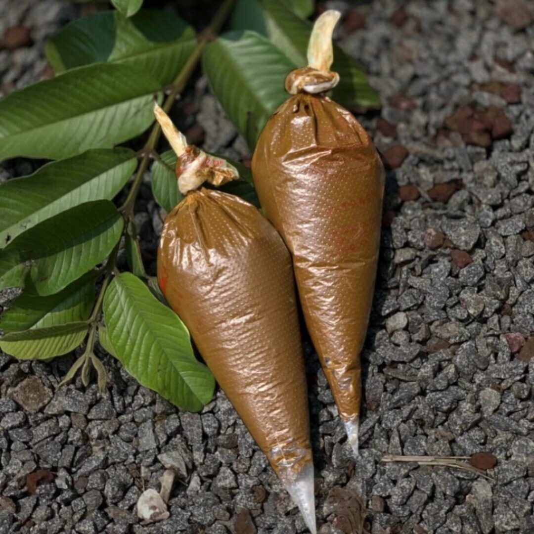 Ready To Apply Hair Henna Paste